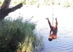 rope swing brossac lake